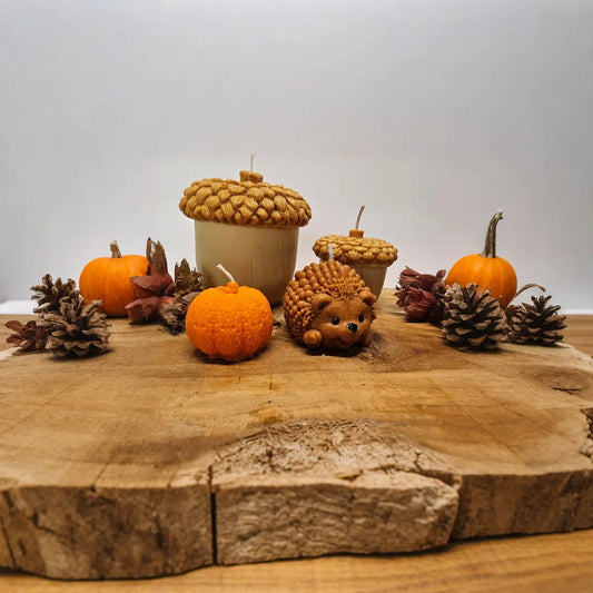 Herfst kaarsen set 4-delig met pompoen, 2 eikels en egeltje, geurloze decoratieve kaarsen