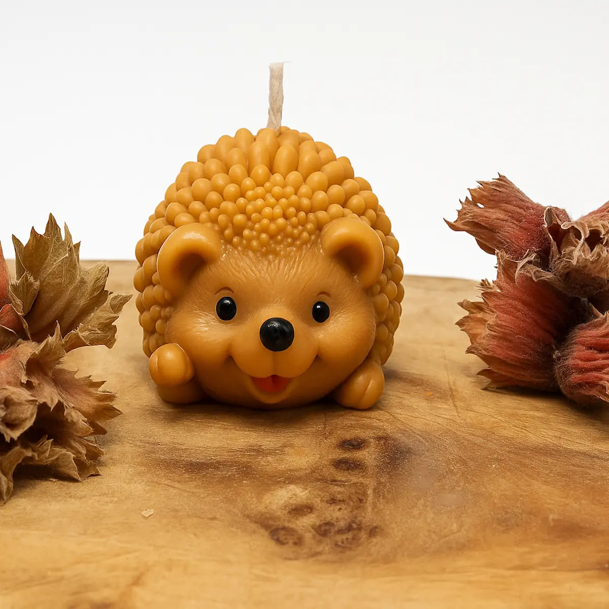 herfstset egel kaars op decoratie blad in herfst sfeer