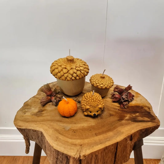Decoratieve herfst kaarsen set 4-delig pompoen, eikels en egeltje in sfeervolle setting